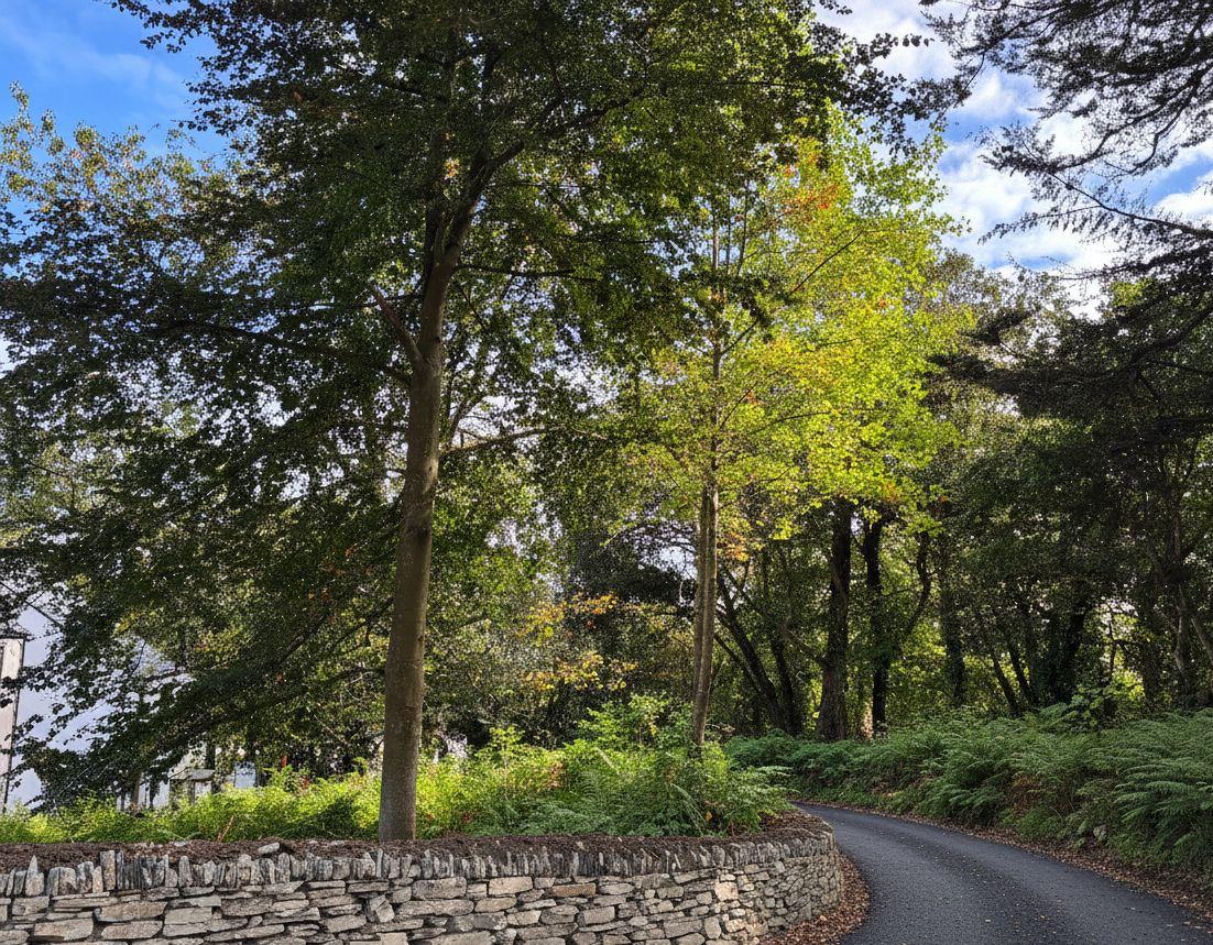 Roselyon Gardens, Par photo - 3